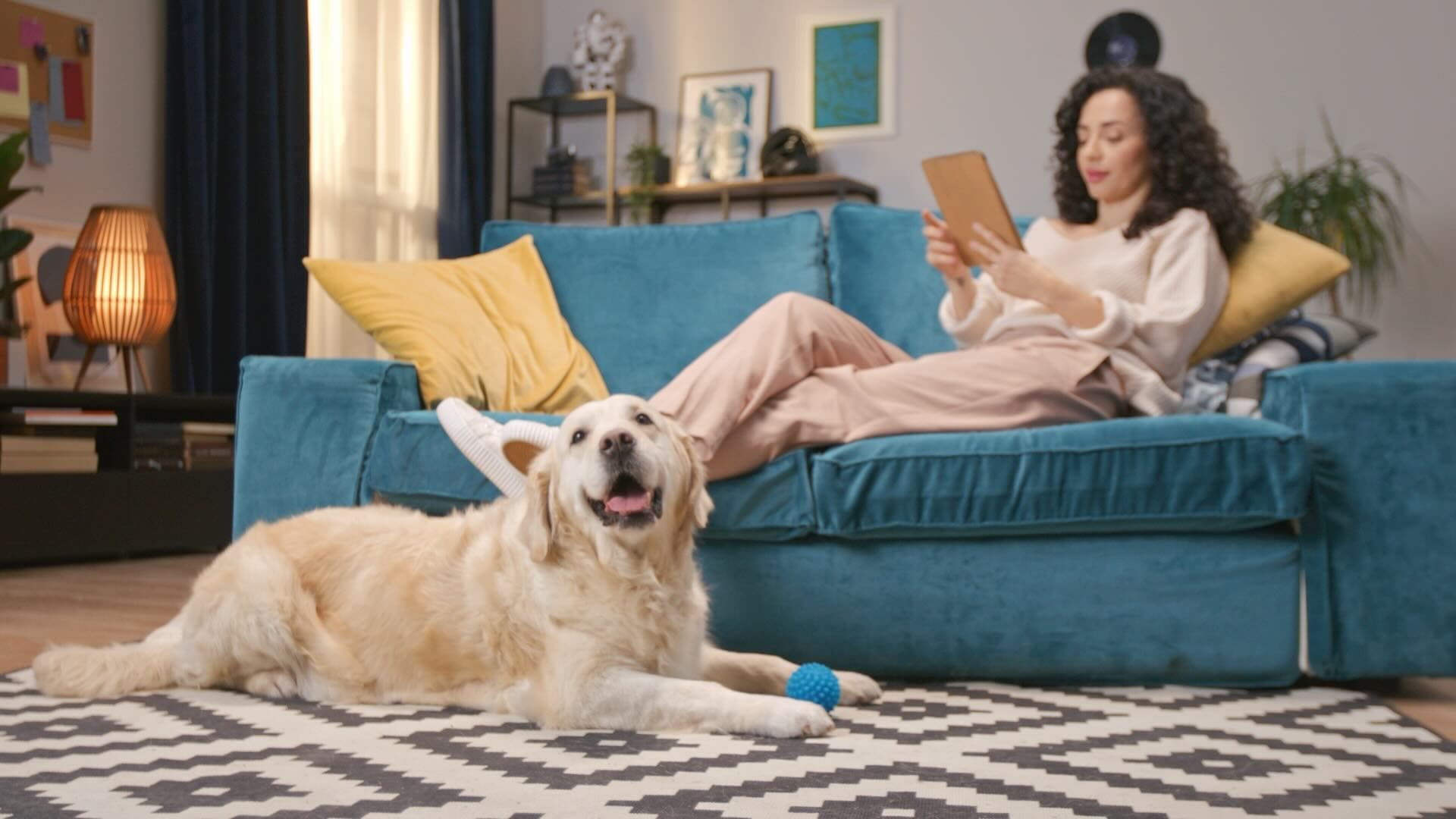 Une femme assise sur son canapé, utilisant sa tablette, avec un chien se reposant à ses pieds
